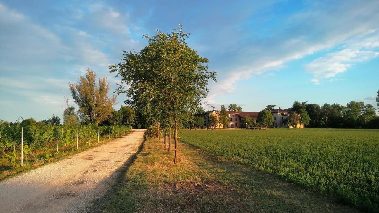 Agriturismo Alle Albare Montorio Veronese Zewnętrze zdjęcie