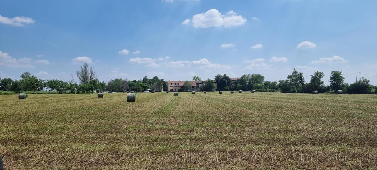 Agriturismo Alle Albare Montorio Veronese Zewnętrze zdjęcie