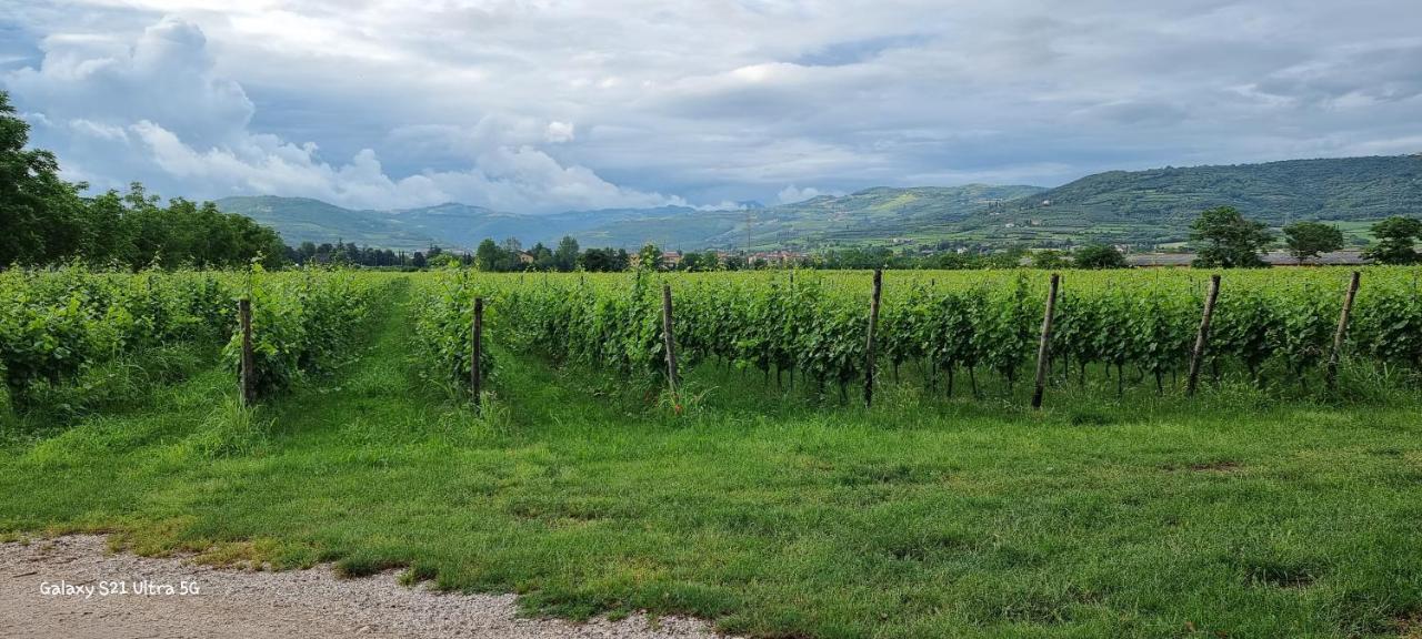 Agriturismo Alle Albare Montorio Veronese Zewnętrze zdjęcie